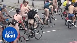 Cyclists strip off and travel through London for World Naked Bike Ride