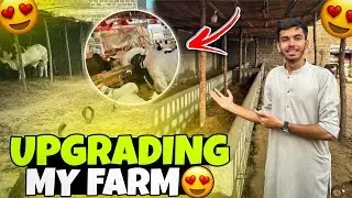 Allhumdulliah farm ki upgrading start hogai 📈 😍