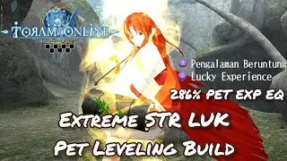 NEW META! STR LUK Pet Leveling with Lucky Experience Trait