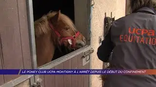 Yvelines | Le poney club UCPA Montigny à l'arrêt depuis le début du confinement