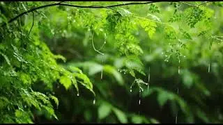 Relaxing music for stress relief + Relaxing music for insomnia | Love relaxing music 2025