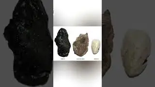 Вы богаты если найдете это на пляже. Амбра