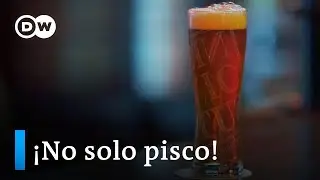 Cerveza en el país del pisco | Sabor Saber DW