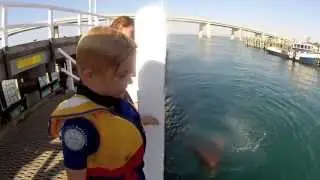 Jetty Jumping