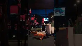 Calisthenics party tricks. Assisted one arm pushups.