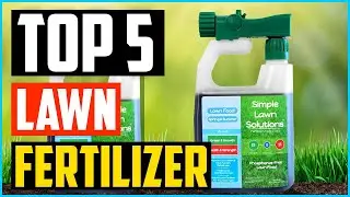 Top 5 Best Lawn Fertilizer in 2025 Review  Buyer&rsquo;s Guide