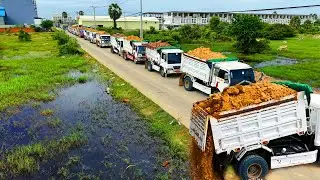 Full Processing Filling Up The Land huge, Wonderful Bulldozer KOMATSU Work, Dump Truck unloading