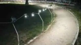 rancore le radici e le ali