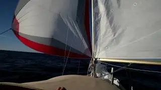 Quartermaster type selfsteering 2