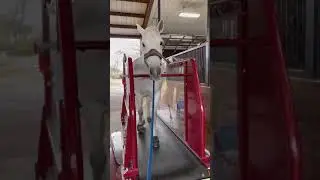 Roller treadmill powered by Q-Line.