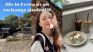 daily life in Korea as an exchange student: cafe hopping, shopping  and historical park