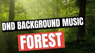 DND Background Music - Forest