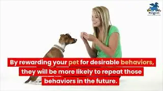 Mastering Pet Training: Science-Based Techniques for a Happy and Well-Behaved Pet | Dr. Prasad MG |