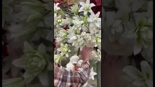 Свадебная флористика /  EVENT PROFI с Дмитрием Туркан #магияфлористики #eventprofi #shorts #флорист