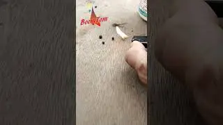 Tiger Tails Stars Test Burn