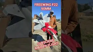 Первый полет Freewing F22 90MM ✈️ 👉📹👀 #foryou #shorts #subscribe #fyp #rcairplane