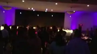 DJ Indiana | Purple Uplighting | Single Color | Full Room 16 Lights