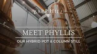Meet Phyllis, our hybrid column & pot still