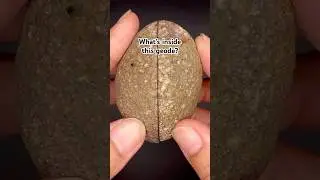 Revealing what's inside this geode! #agate #geode #agategeode #crystals #crystalshop