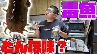 海にいるナマズのような毒魚は美味い？？