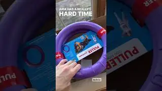 Review of the Puller 🐶 #Dog #USA #Activity #Fun #Outside #Games #OutdoorPlay #DogToy