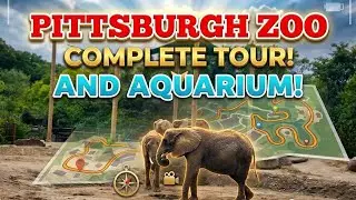 PITTSBURGH ZOO FULL POV START TO FINISH #pittsburghzoo #fullpov