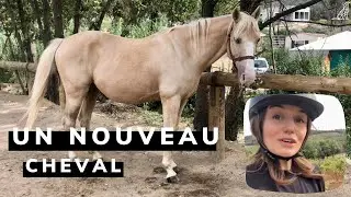 J'ai pris un cheval en demi-pension !