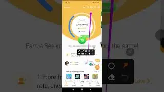 Bee network XP points & Bee wallet linkage - How to earn more XP & link your bee web3 wallet