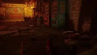Stray PS5
