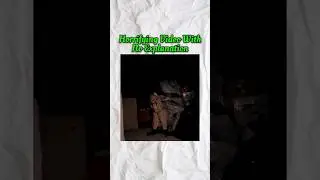 Most Horrifying Video That Will Chill Your Bones | Real Horror Story In Hindi