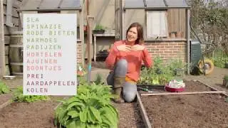 Groenten zaaien of planten?