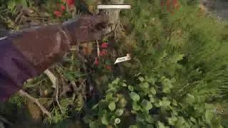 Kingdom Come Deliverance 2 - Hardcore mode gameplay Ep. 2