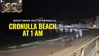 Cronulla beach drive out at midnight 1 am || Possum found at midnight climbing near Cronulla beach