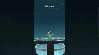Favorite Hoenn Starter?! *Shiny TREECKO* #pokemon #pokemongo #treecko #shiny #hoennconfirmed