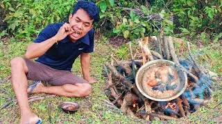 Find palm Tree Worms | Catch and Cook wild food