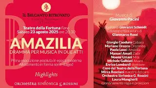 IBR 2025 - Amazilia