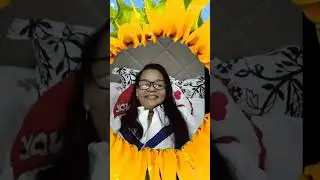 @girassol