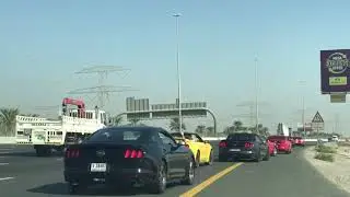 Mustang Club Rally UAE
