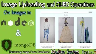 Retrieving Image From Database || Multer Series || Part- 3