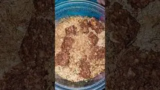 feeding these tiny meal worms a granola bar. They seem to like it.