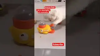 Best Automatic Pet Feeder | Timed Feeding for Dogs & Cats #shorts #petfeeder #ytshorts