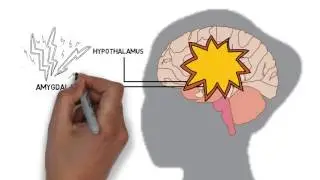 This is your brain on yoga