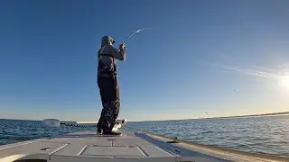 Fishing A Bluefish Blitz!