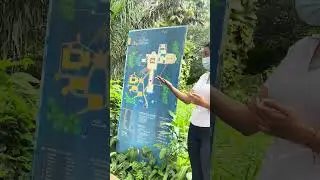 #video #cute #comedy  #viralshort #viral #amigos #viralvideo#viralreel #humor #reel #short