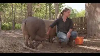 FarmDrop Stories | Outland Farm