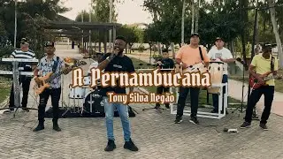 A Pernambucana (Videoclipe Oficial) - Tony Silva Neg&atilde;o