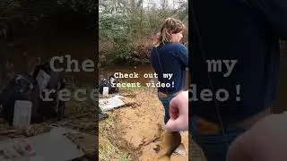 Golden Shiner on Christmas