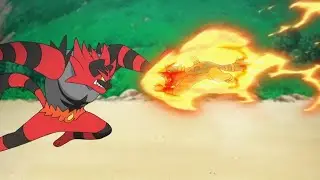 Torracat vs Incineroar / Litten Evolves! AMV - Pokemon Sun and Moon