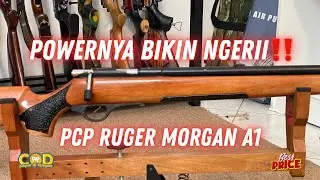 BURUAN BIG GAME HITUNGAN DETIK TUMBANG‼️ PCP RUGER MORGAN A1