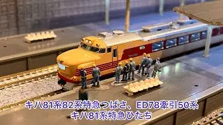 【Nゲージ】キハ81、82つばさ、ED78牽引50系、キハ81 ひたち、、、、、そして洗礼を受けた悪ほぼ